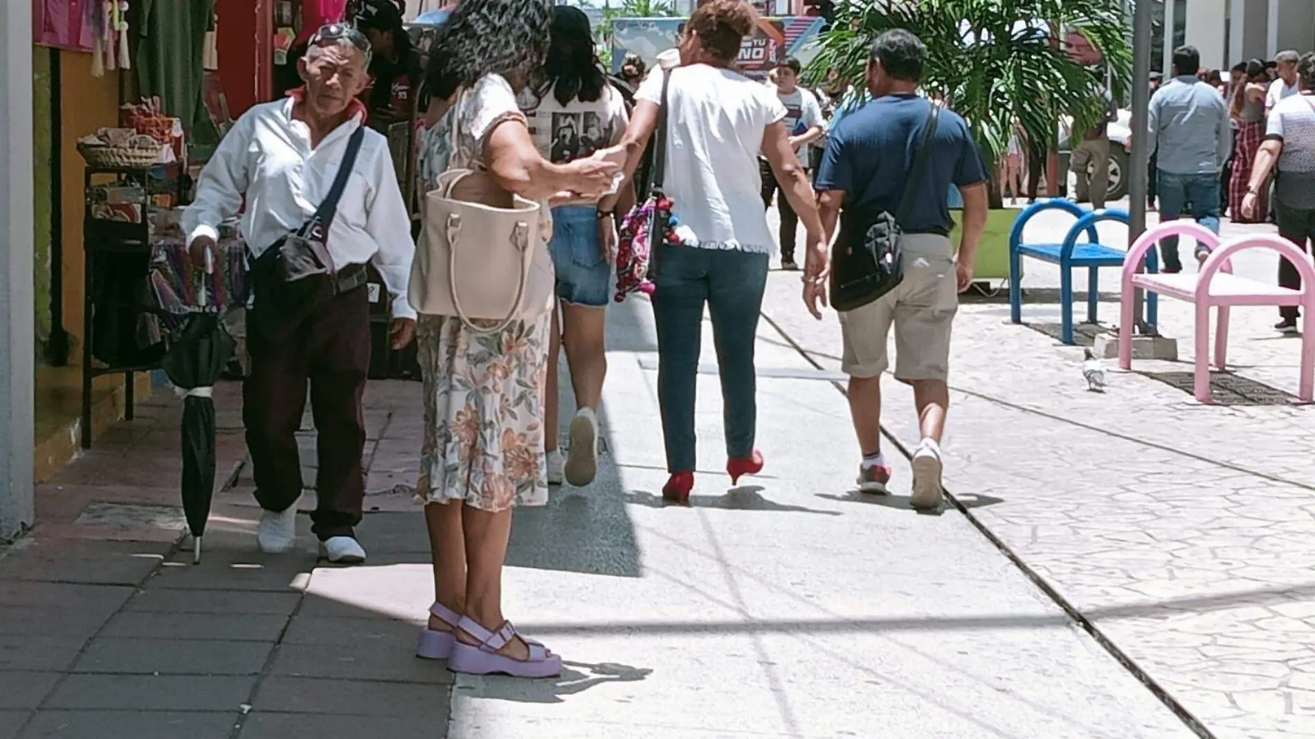 personas en el paseo peatonal